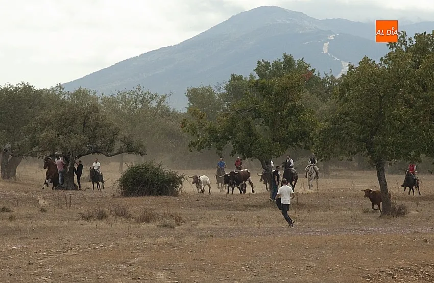 Encierro a Caballo en Alba de Yeltes/ Fotos: Adrián M.Pastor