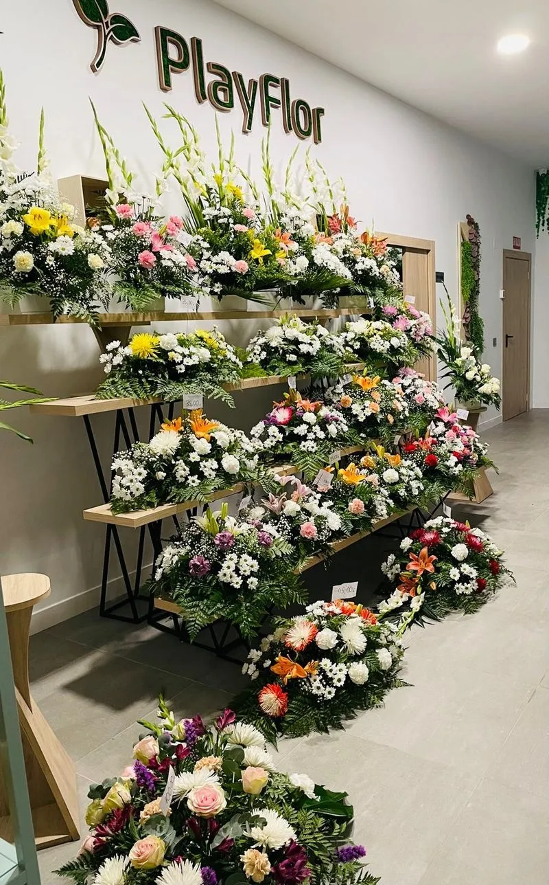 Foto 6 - &lsquo;Playflor&rsquo;, un a&ntilde;o entre flores en la Avenida Juan Pablo II de Alba de Tormes