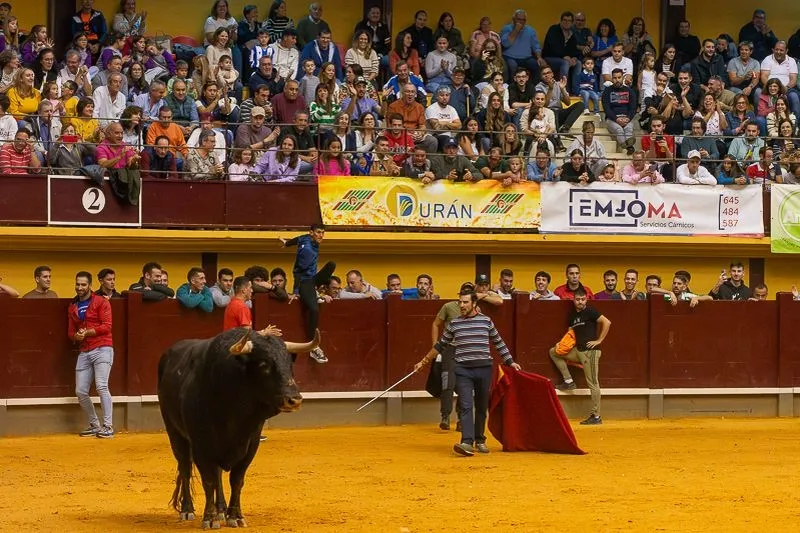 Foto 18 - Lleno hasta la bandera para disfrutar de dos toros del caj&oacute;n