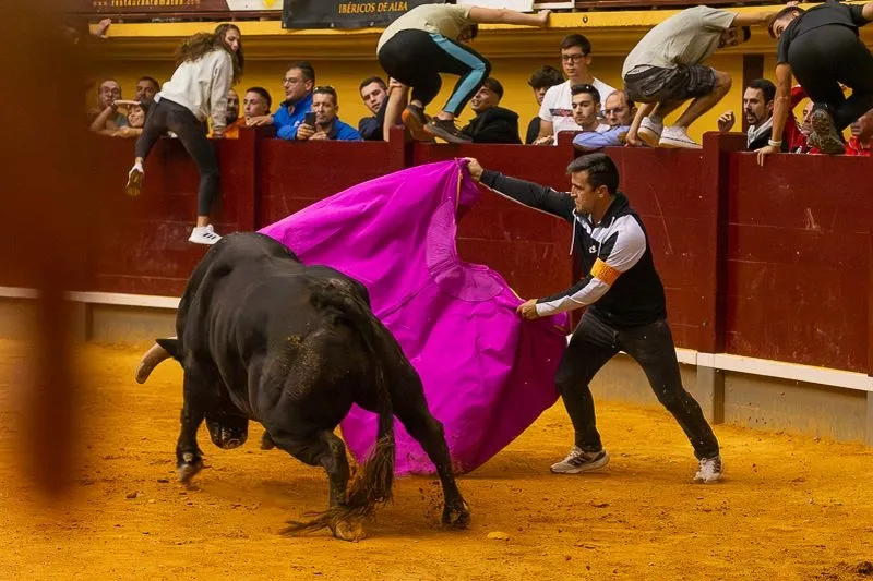 Foto 17 - Lleno hasta la bandera para disfrutar de dos toros del caj&oacute;n