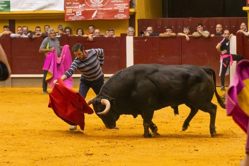 Foto 16 - Lleno hasta la bandera para disfrutar de dos toros del caj&oacute;n