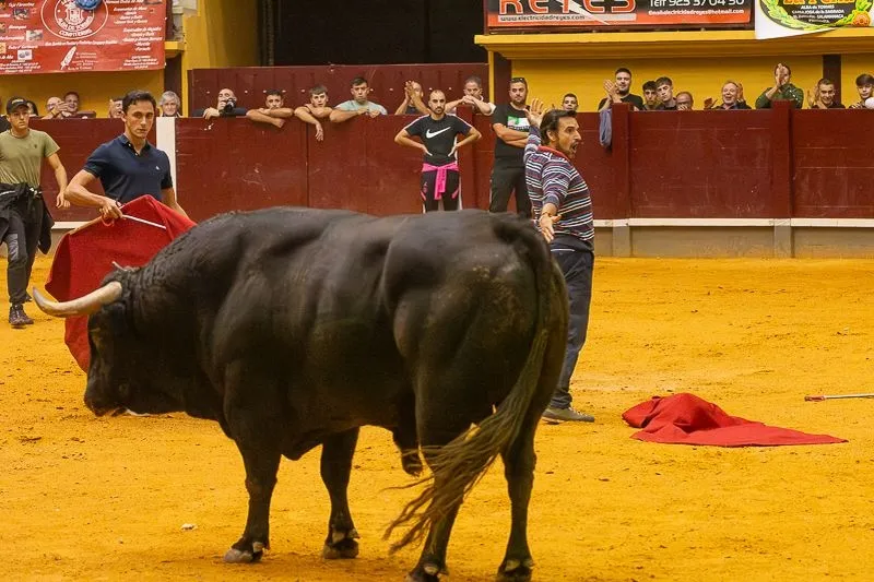 Foto 14 - Lleno hasta la bandera para disfrutar de dos toros del caj&oacute;n