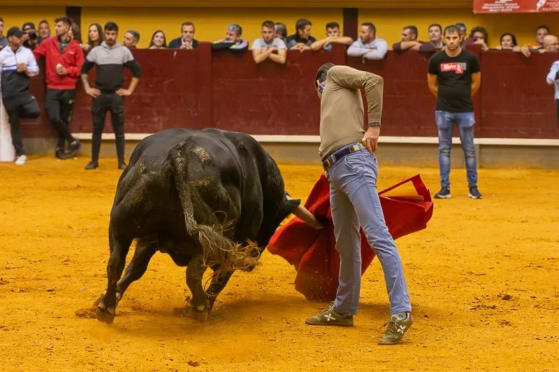Foto 13 - Lleno hasta la bandera para disfrutar de dos toros del caj&oacute;n