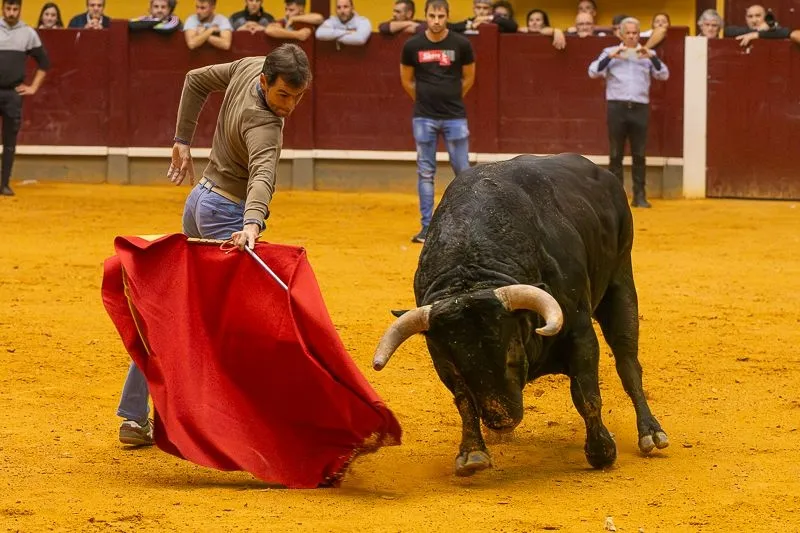 Foto 12 - Lleno hasta la bandera para disfrutar de dos toros del caj&oacute;n