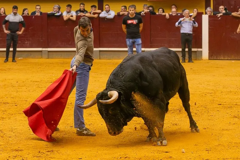 Foto 11 - Lleno hasta la bandera para disfrutar de dos toros del caj&oacute;n