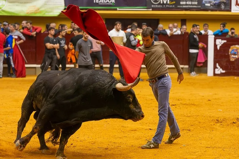 Foto 10 - Lleno hasta la bandera para disfrutar de dos toros del caj&oacute;n