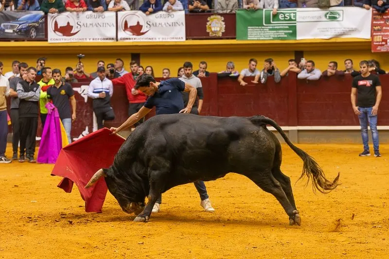 Foto 9 - Lleno hasta la bandera para disfrutar de dos toros del caj&oacute;n