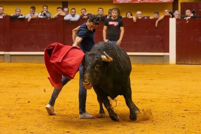 Foto 7 - Lleno hasta la bandera para disfrutar de dos toros del caj&oacute;n