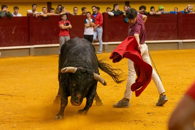 Foto 6 - Lleno hasta la bandera para disfrutar de dos toros del caj&oacute;n