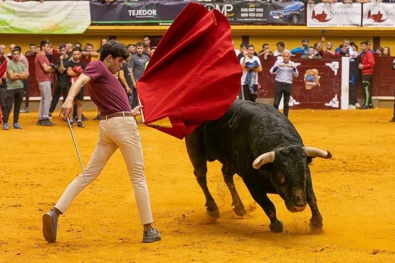 Foto 4 - Lleno hasta la bandera para disfrutar de dos toros del caj&oacute;n
