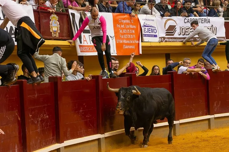 Foto 3 - Lleno hasta la bandera para disfrutar de dos toros del caj&oacute;n