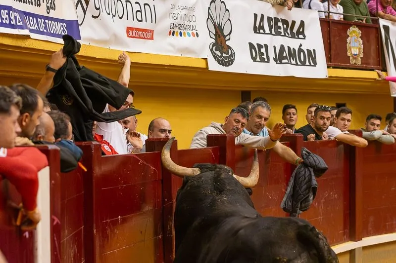 Foto 2 - Lleno hasta la bandera para disfrutar de dos toros del caj&oacute;n