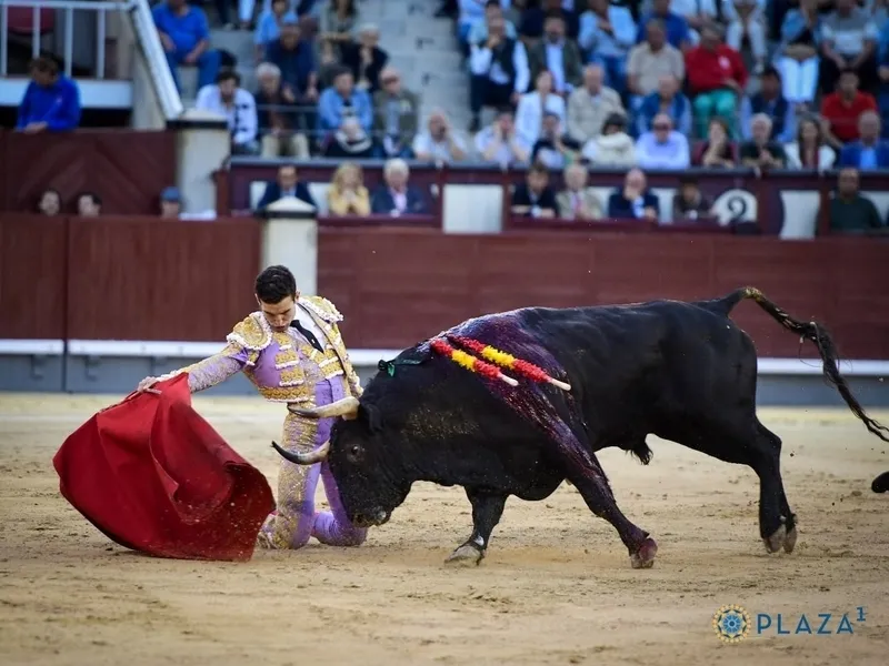 Valentín Hoyos en Las Ventas | Foto: Plaza1