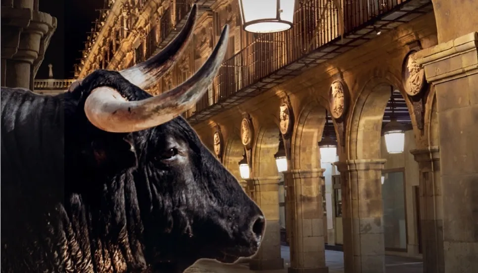 Foto 2 - Interesante congreso veterinario sobre el toro de lidia en Salamanca