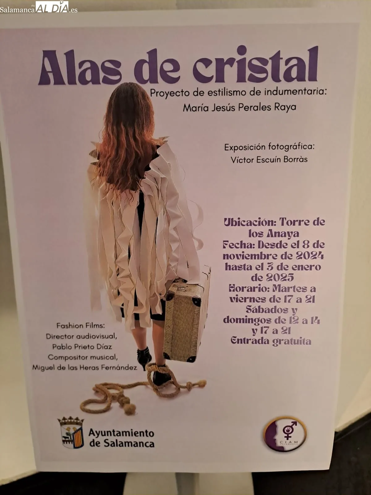 Exposición 'Alas de Cristal' en la Torre de los Anaya. Foto de Víctor Jiménez