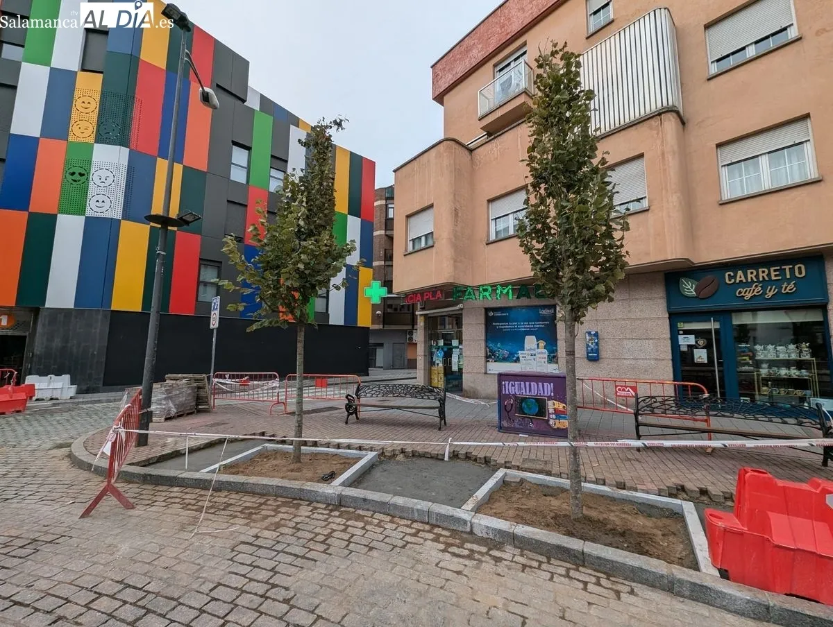Imagen de este sábado de la plaza del Oeste tras las plantación de los nuevos árboles. Fotos: David Sañudo