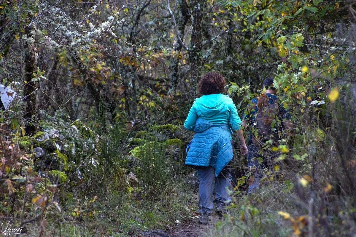 'Ruta de los Pasos Jóvenes', en Béjar | FOTOS: Manuel Lamas 