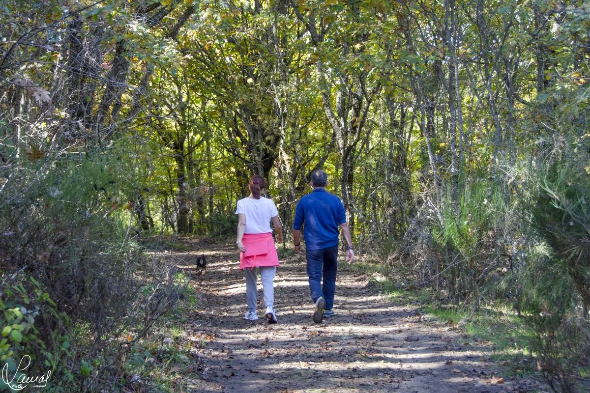 'Ruta de los Pasos Jóvenes', en Béjar | FOTOS: Manuel Lamas 