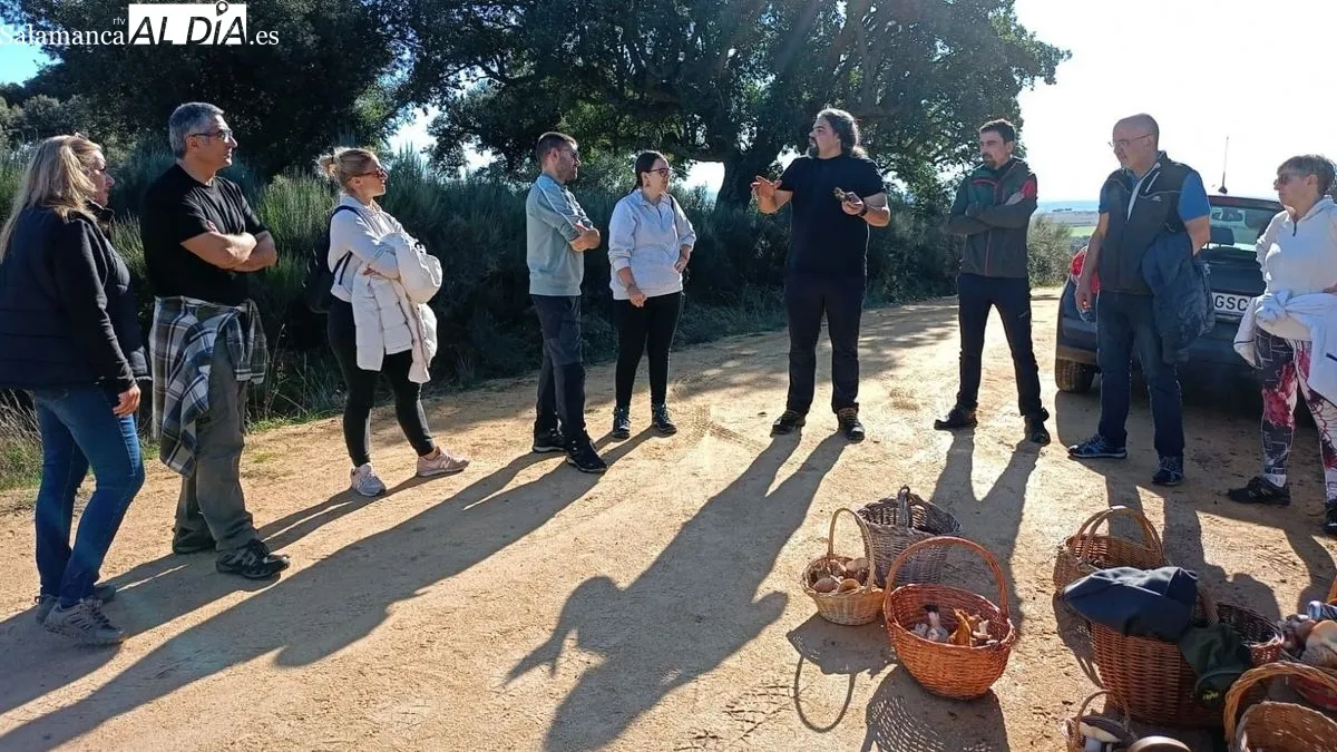 Las setas recogidas en el campo fueron catalogadas y expuestas en el patio de la Casa de los Condes