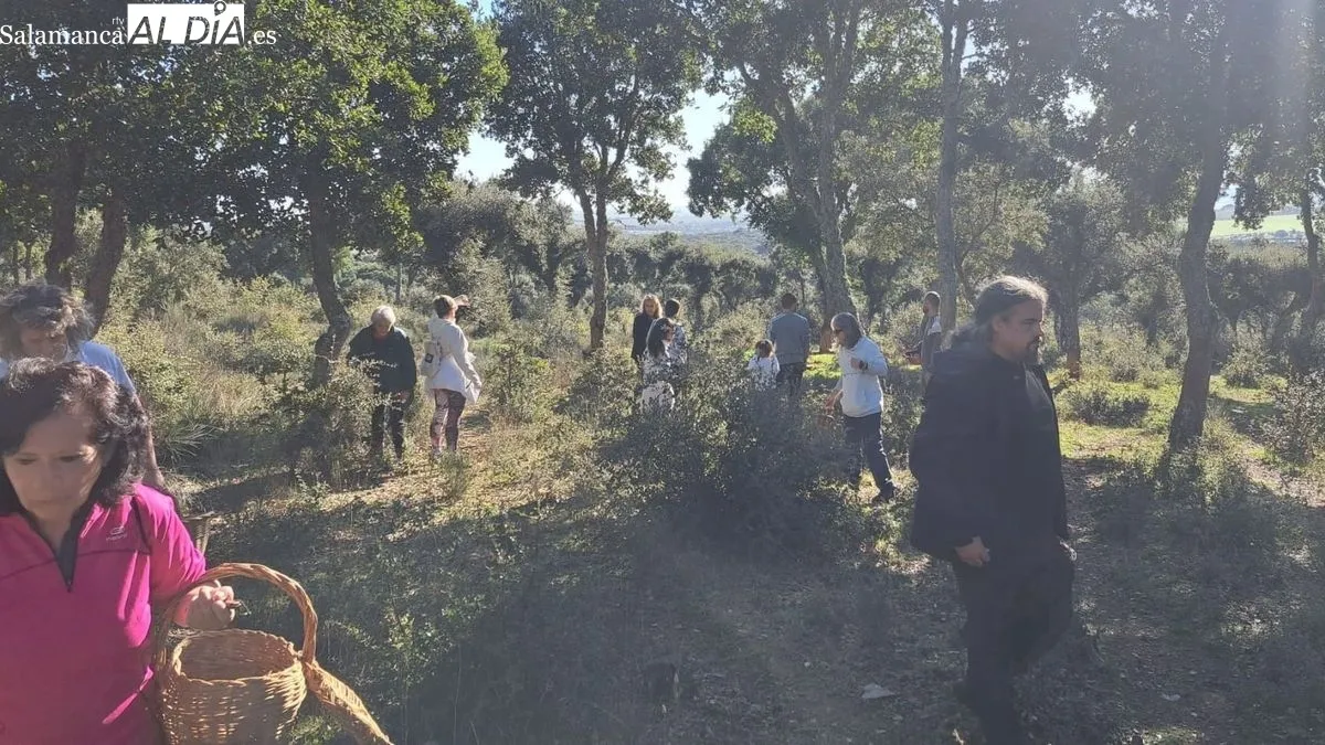 Foto 4 - La Quedada Micol&oacute;gica de Lumbrales concluye con la recogida de m&aacute;s de 50 especies de setas