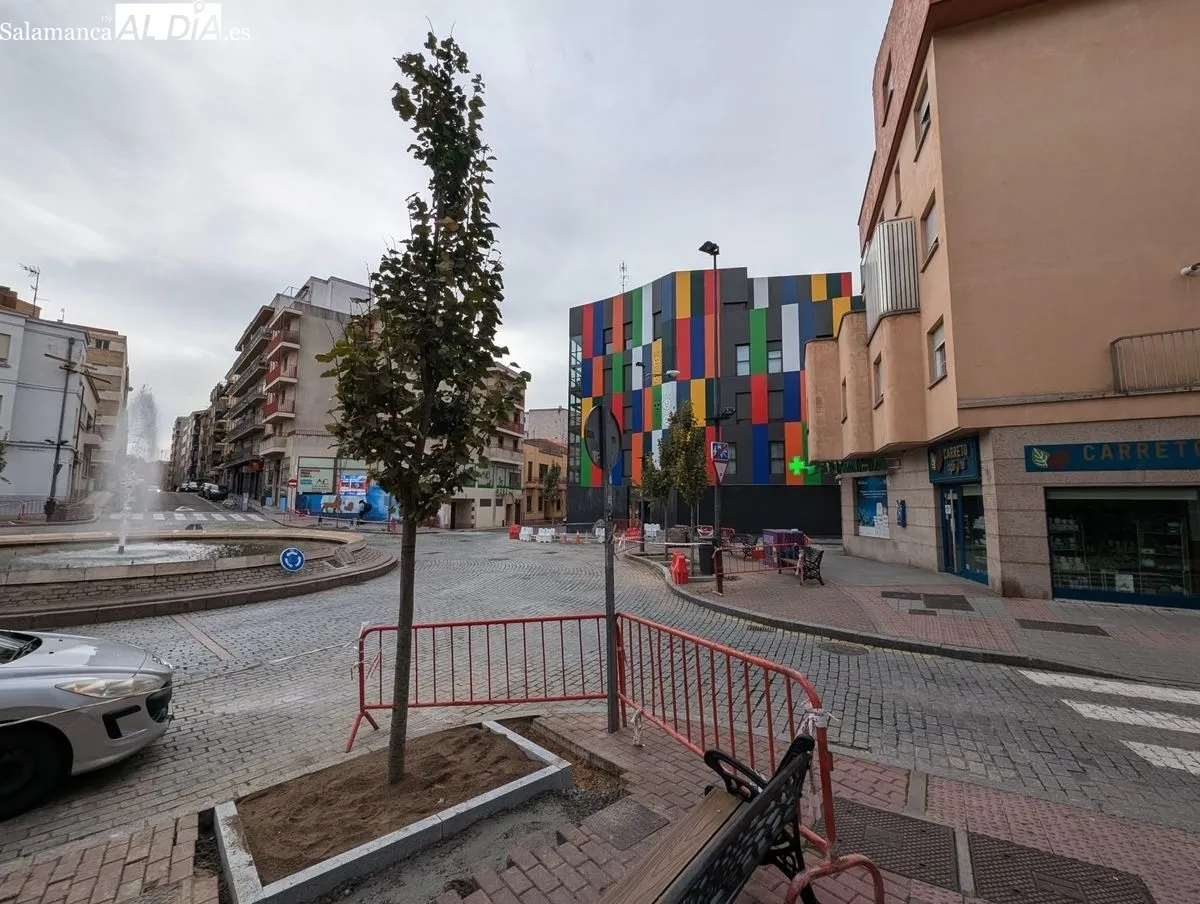 Imagen de este sábado de la plaza del Oeste tras las plantación de los nuevos árboles. Fotos: David Sañudo