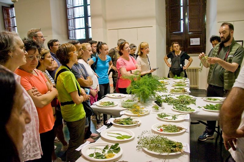 Micología, cultura y solidaridad en un fin de semana repleto de actividades