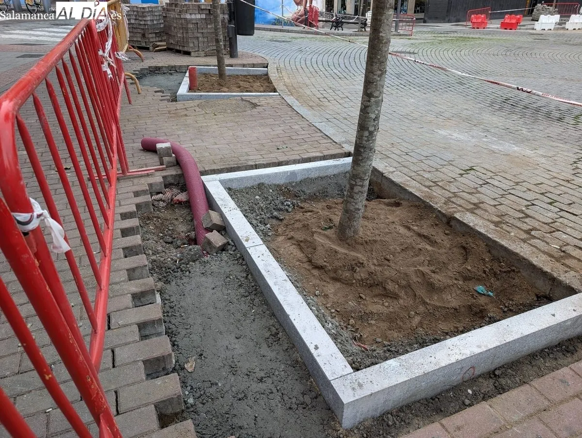 Imagen de este sábado de la plaza del Oeste tras las plantación de los nuevos árboles. Fotos: David Sañudo