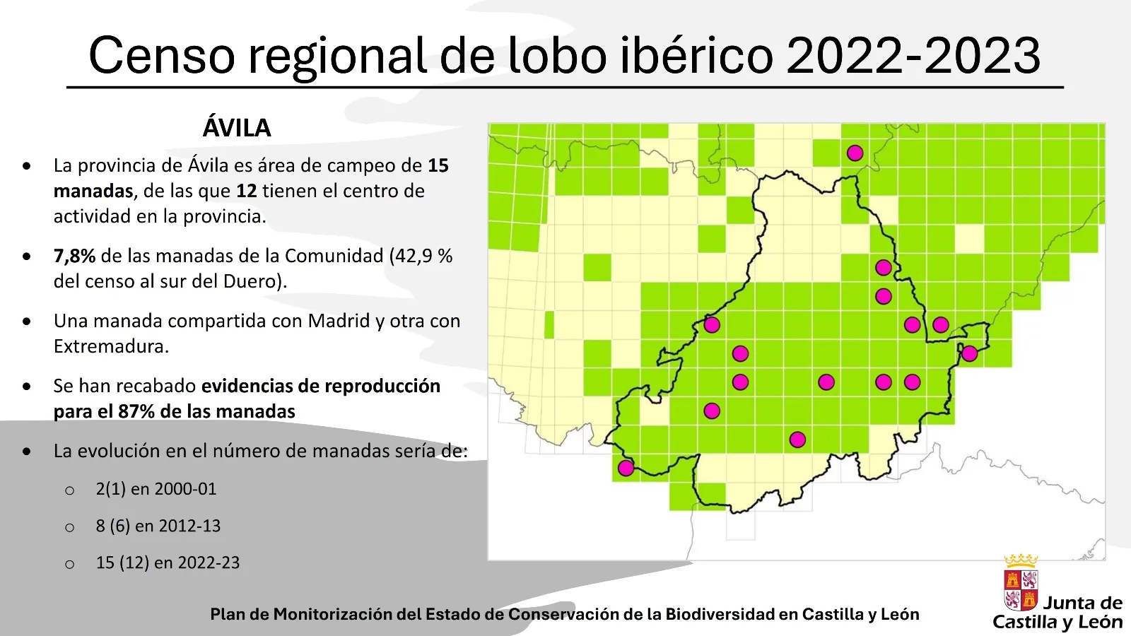 Foto 5 - M&aacute;s lobos en Castilla y Le&oacute;n pero menos en Salamanca