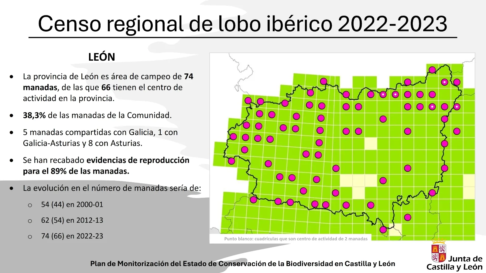 Foto 9 - M&aacute;s lobos en Castilla y Le&oacute;n pero menos en Salamanca