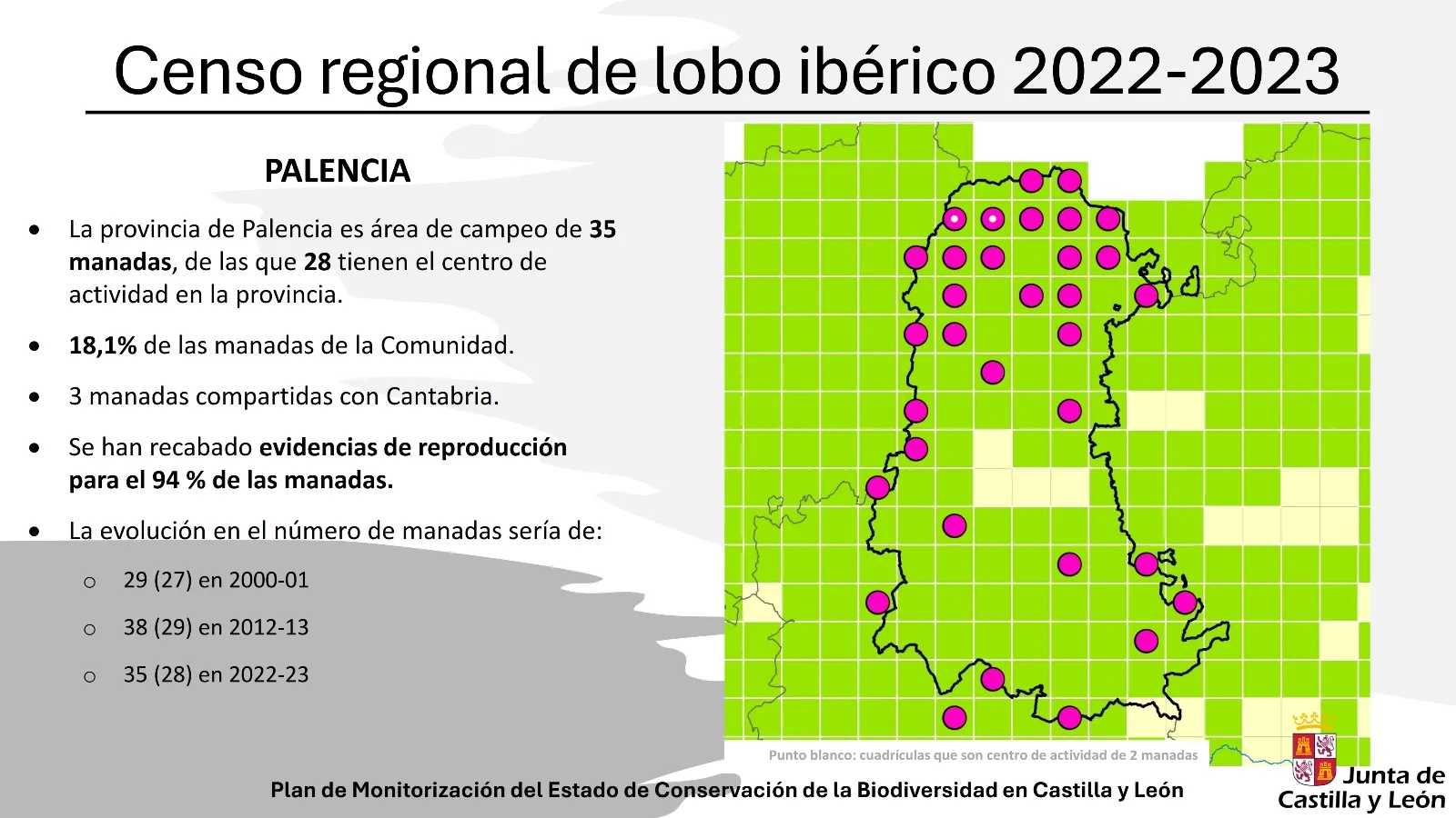 Foto 10 - M&aacute;s lobos en Castilla y Le&oacute;n pero menos en Salamanca