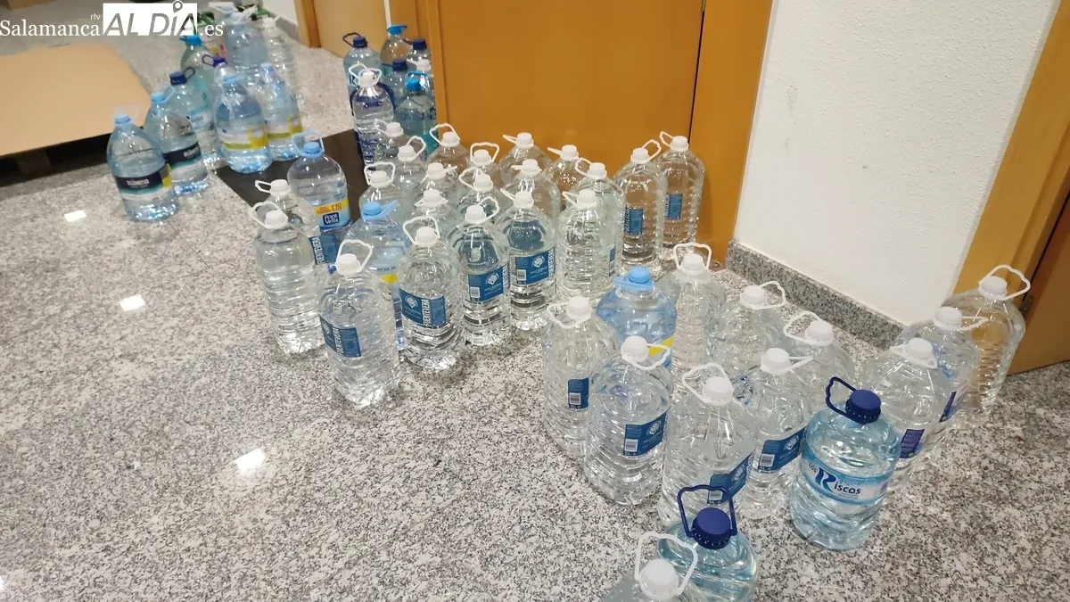 Un total de 15 pallets de ayuda salen de Vitigudino destino a  Valencia / CORRAL