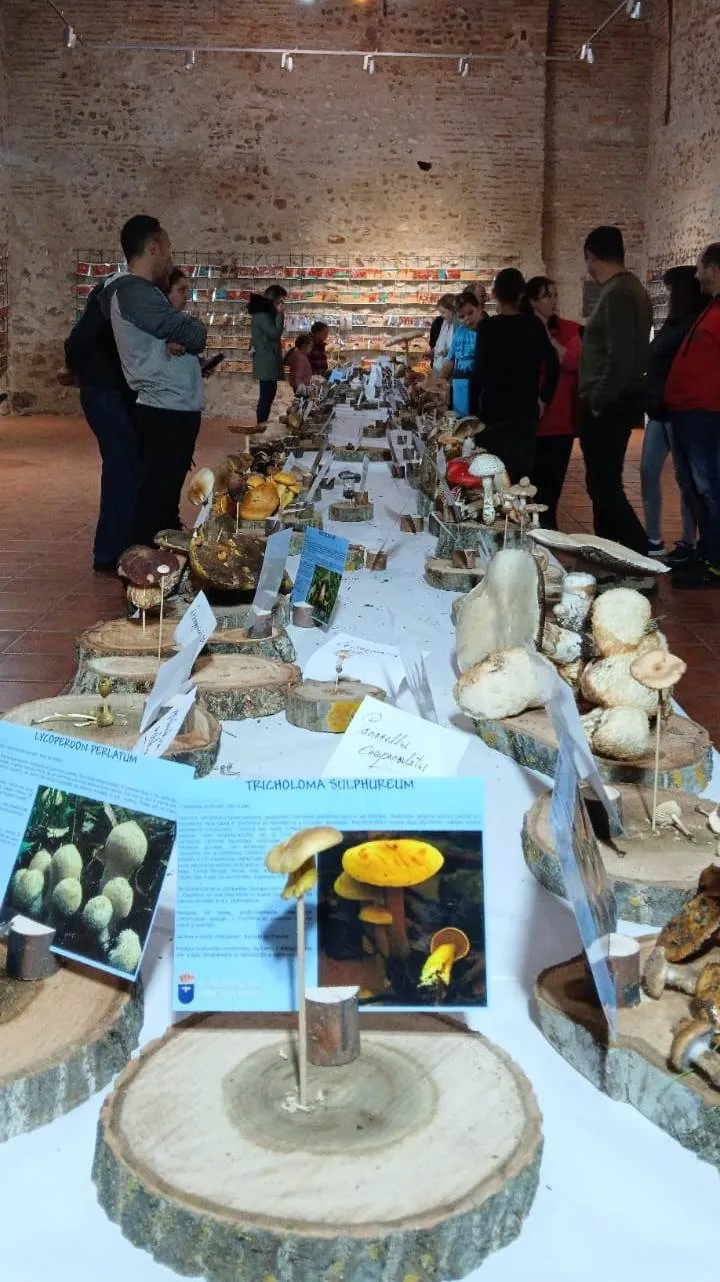 Foto 8 - Identificadas m&aacute;s de 100 especies en las Jornadas Micol&oacute;gicas de Sancti-Sp&iacute;ritus