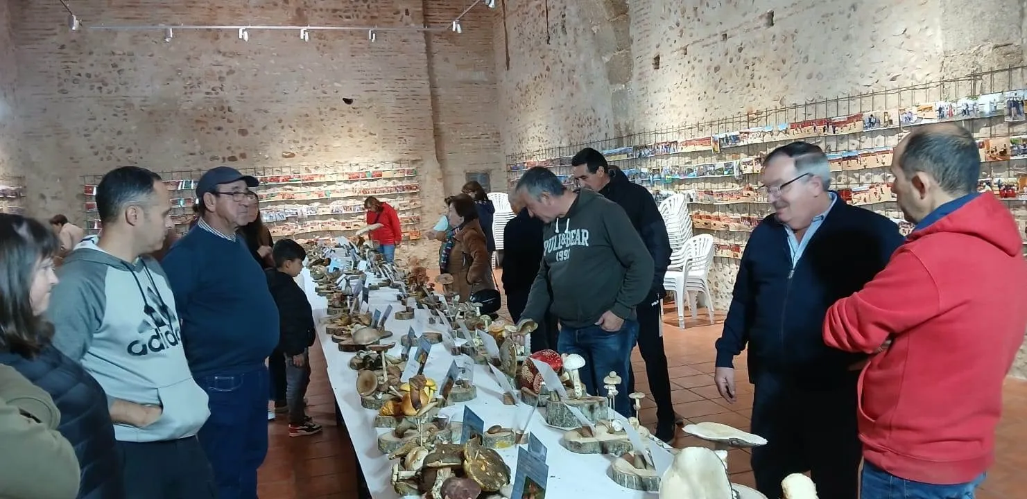 Foto 7 - Identificadas m&aacute;s de 100 especies en las Jornadas Micol&oacute;gicas de Sancti-Sp&iacute;ritus