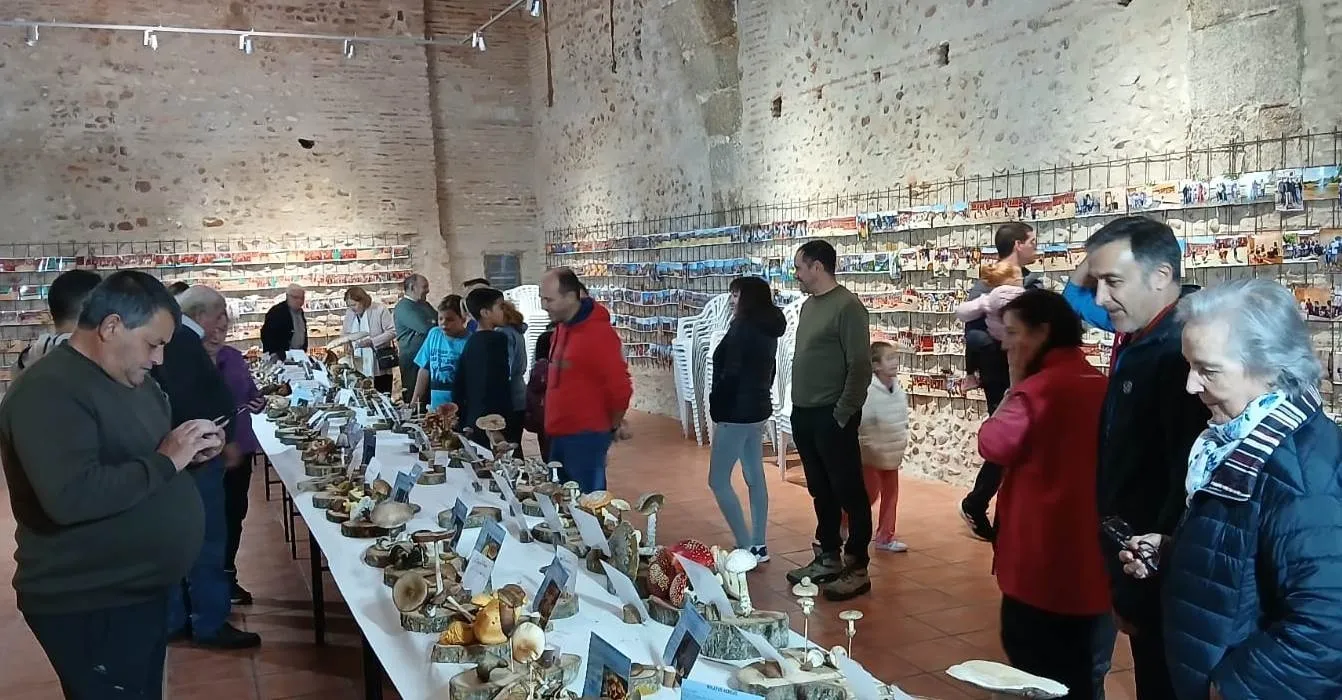 Foto 6 - Identificadas m&aacute;s de 100 especies en las Jornadas Micol&oacute;gicas de Sancti-Sp&iacute;ritus