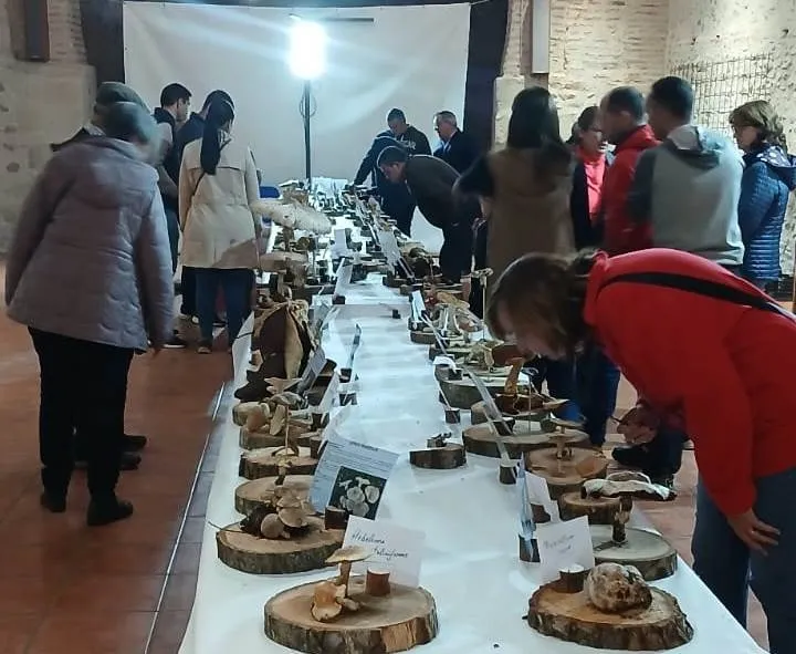 Foto 5 - Identificadas m&aacute;s de 100 especies en las Jornadas Micol&oacute;gicas de Sancti-Sp&iacute;ritus
