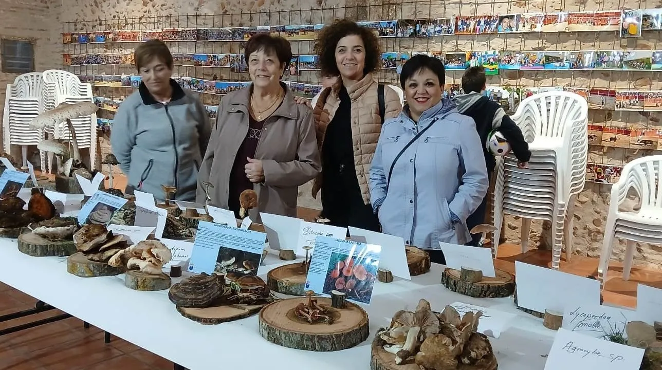 Foto 4 - Identificadas m&aacute;s de 100 especies en las Jornadas Micol&oacute;gicas de Sancti-Sp&iacute;ritus