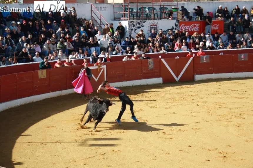 Concurso de Cortes solidario en Villoria