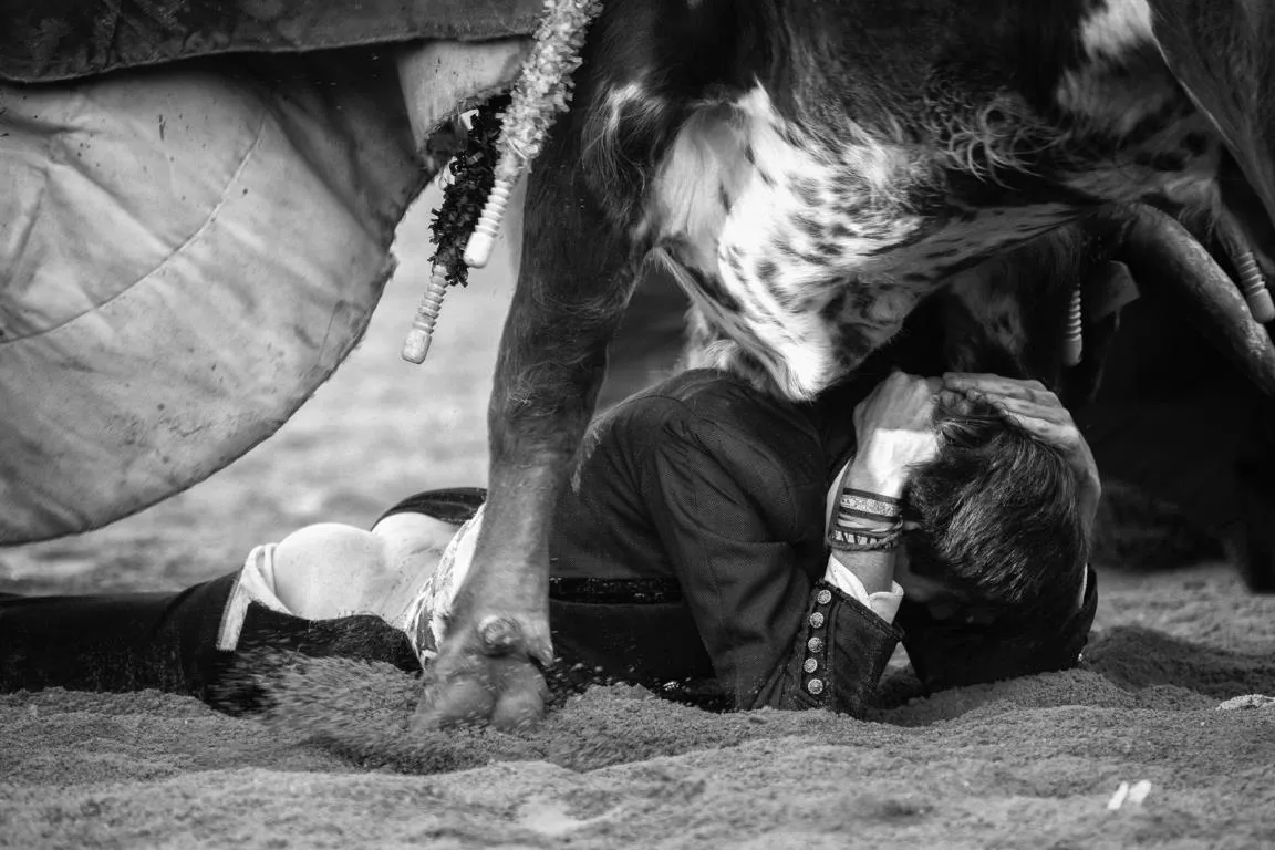 Foto 2 - El fot&oacute;grafo Jordi Cohen gana otro premio en Estados Unidos con im&aacute;genes del Carnaval del Toro