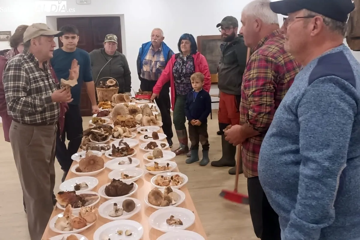 Jornada micológica en Bañobárez 
