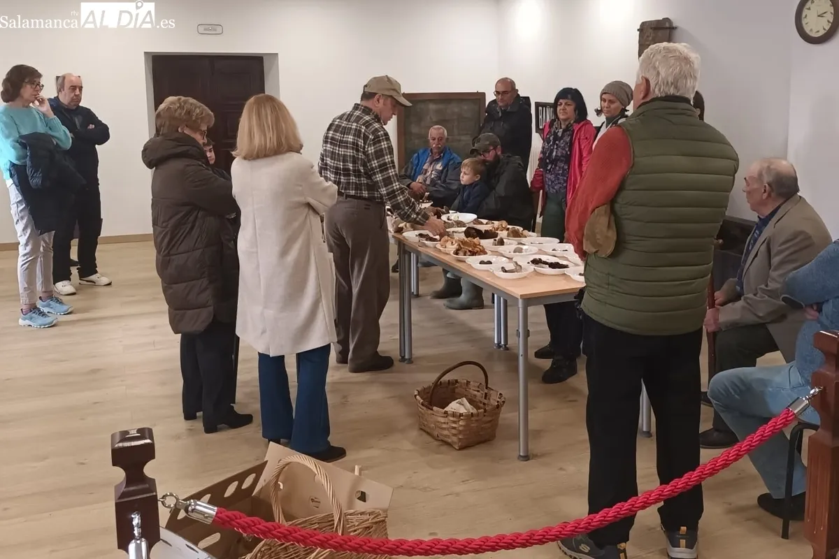 Jornada micológica en Bañobárez 