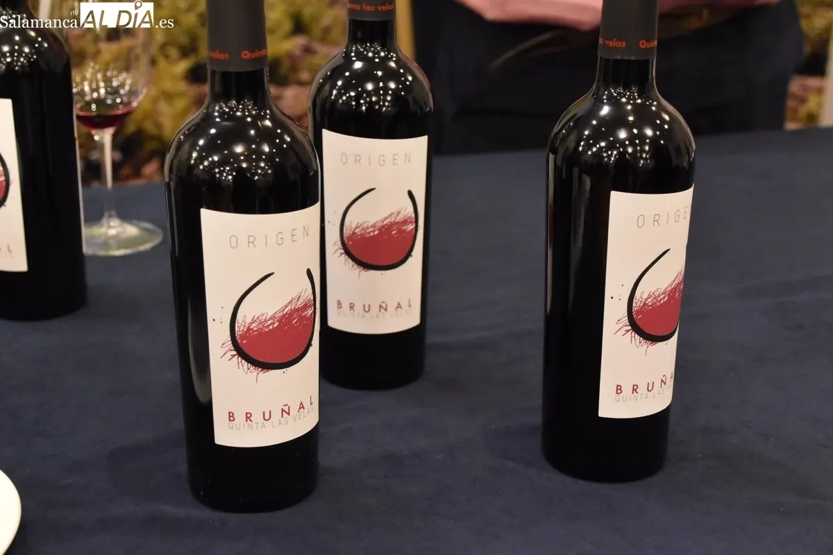 La D.O. Arribes se abre a los profesionales del sector con la presentación de sus vinos en Salamanca / VANESA MARTINS
