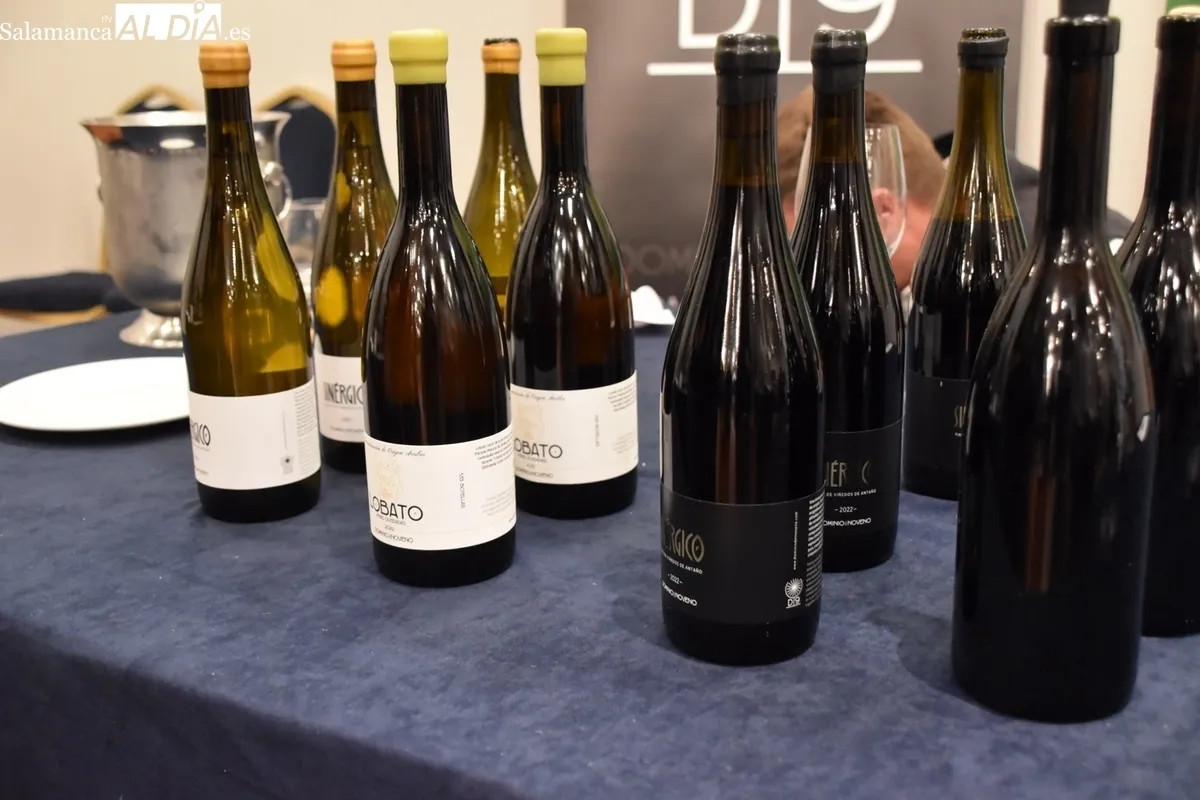La D.O. Arribes se abre a los profesionales del sector con la presentación de sus vinos en Salamanca / VANESA MARTINS
