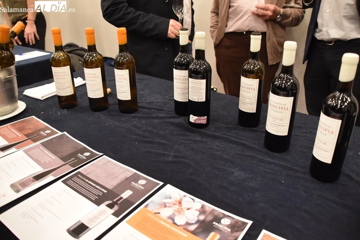 La D.O. Arribes se abre a los profesionales del sector con la presentación de sus vinos en Salamanca / VANESA MARTINS