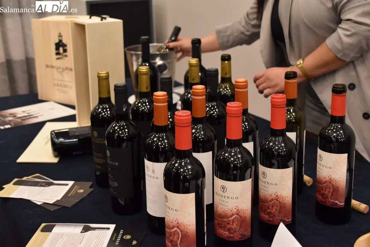 La D.O. Arribes se abre a los profesionales del sector con la presentación de sus vinos en Salamanca / VANESA MARTINS