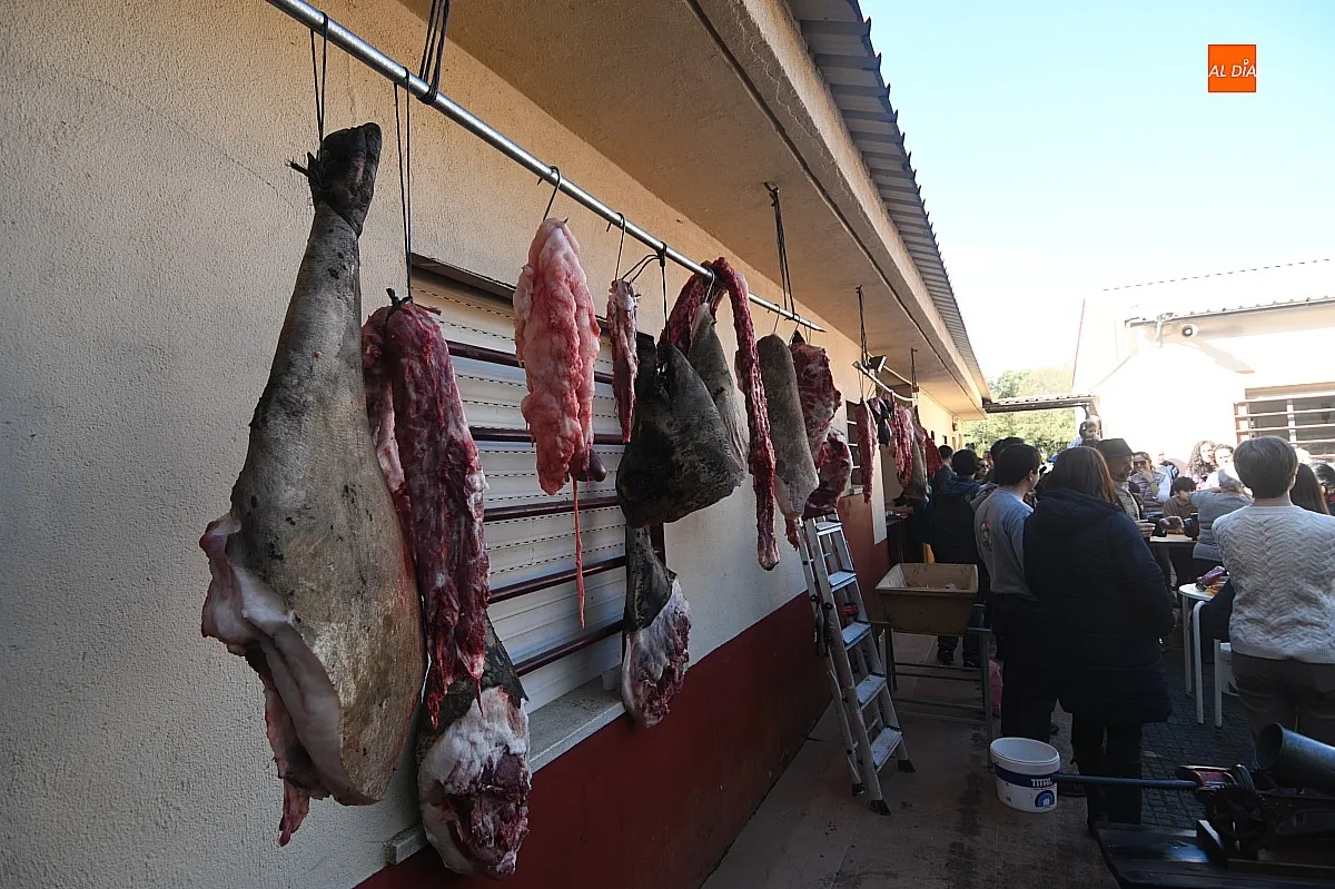 Matanza tradicional en Navasfrías/ Fotos: Adrián M. Pastor