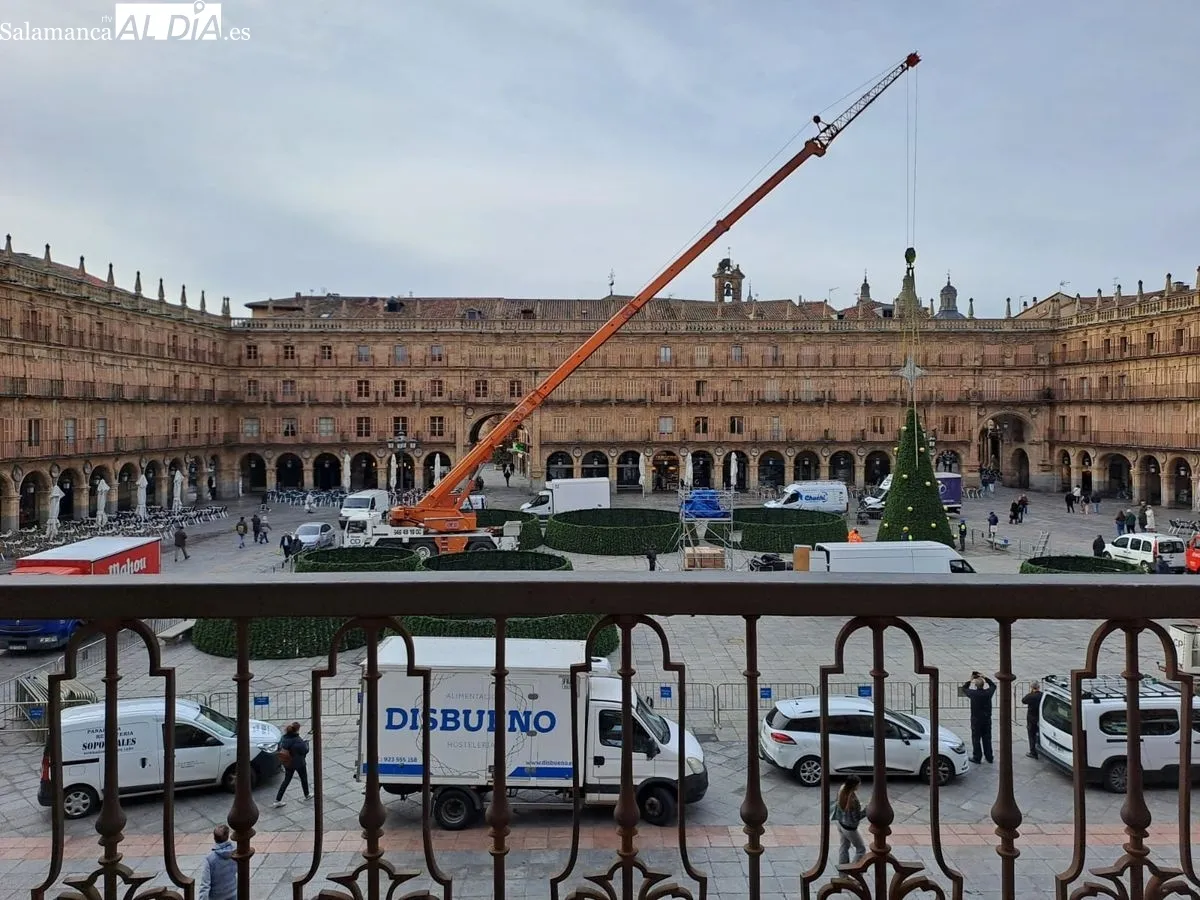 Instalación en la Plaza Mayor de un espectacular árbol de Navidad, de más de 23 metros. Foto de Víctor Jiménez