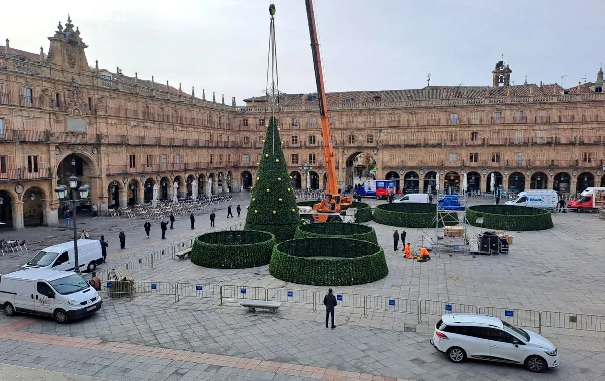 Instalación en la Plaza Mayor de un espectacular árbol de Navidad, de más de 23 metros. Foto de Víctor Jiménez