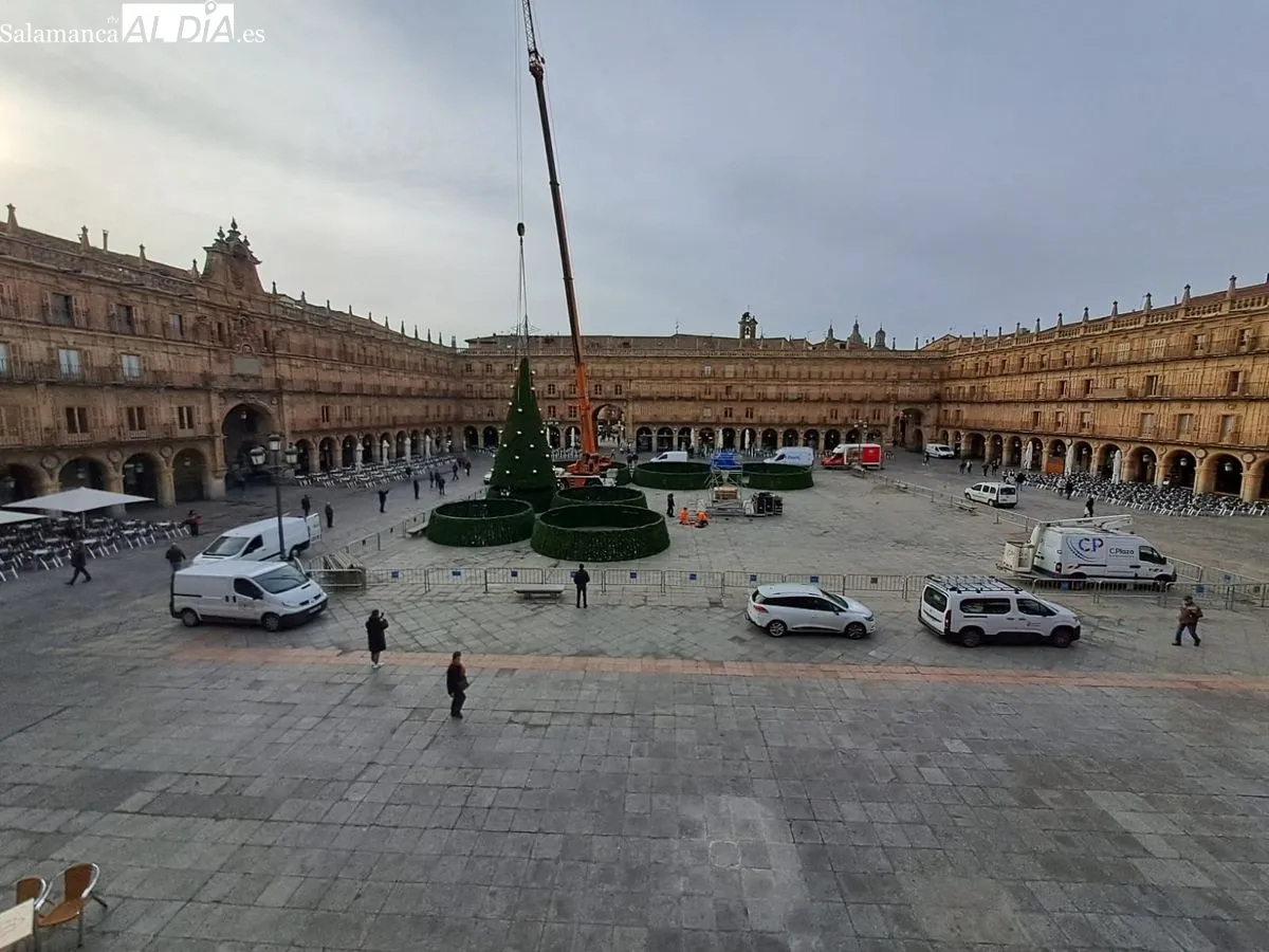 Instalación en la Plaza Mayor de un espectacular árbol de Navidad, de más de 23 metros. Foto de Víctor Jiménez