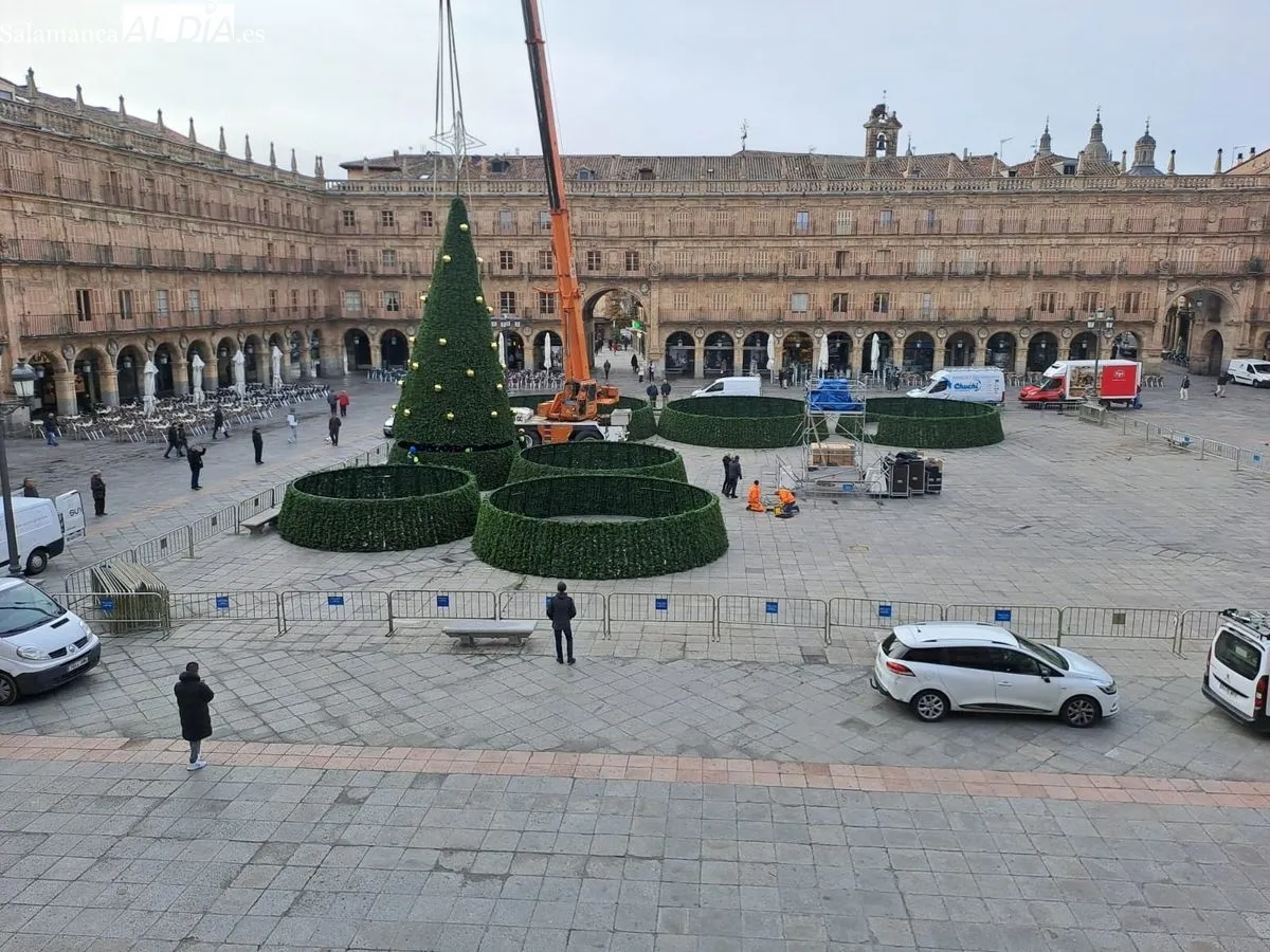 Instalación en la Plaza Mayor de un espectacular árbol de Navidad, de más de 23 metros. Foto de Víctor Jiménez