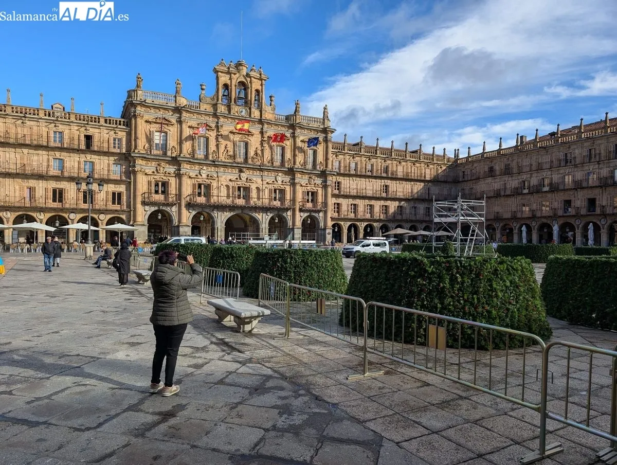 Montaje del gran árbol de Navidad en la Plaza Mayor de Salamanca. Foto de David Sañudo